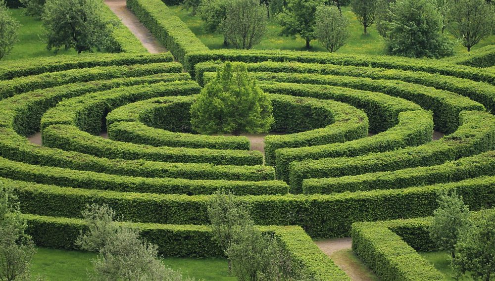 Escaping the maze of parenting guilt park-748339_1280