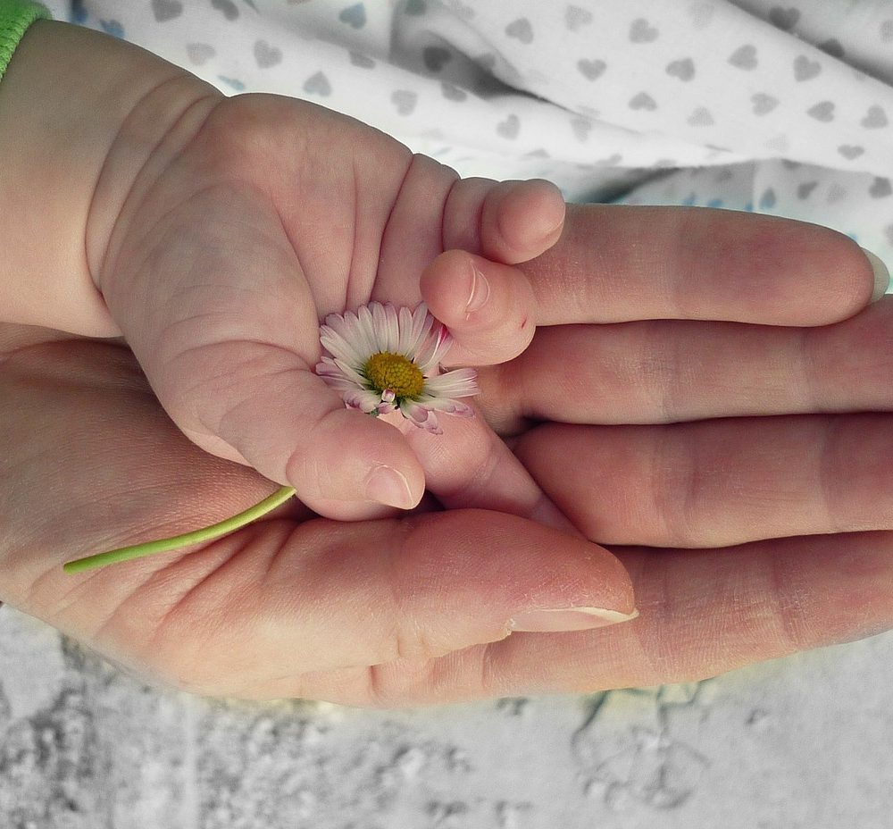 The importance of generosity hands-105455_1280